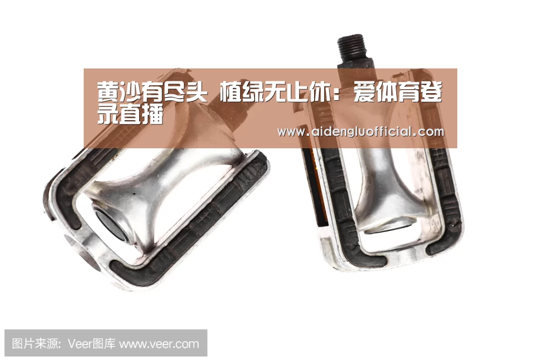 爱体育登录入口