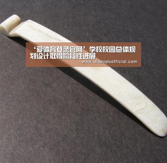 ‘爱体育登录官网’学校校园总体规划设计取得阶段性进展(图4) 爱体育登录