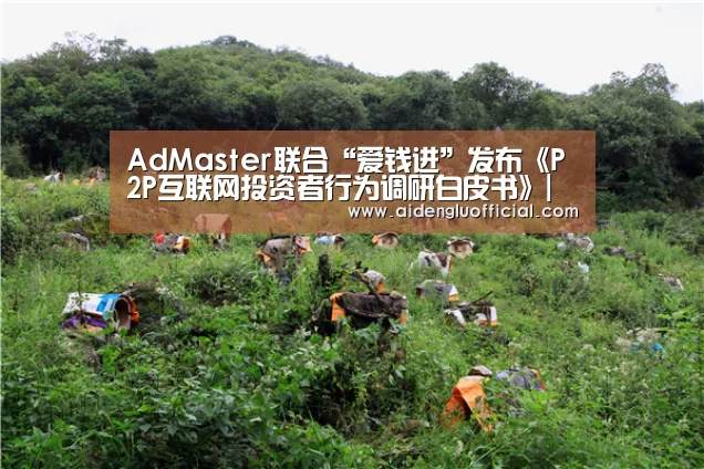AdMaster联合“爱钱进”发布《P2P互联网投资者行为调研白皮书》|爱体育登录(图1) 爱体育登录直播