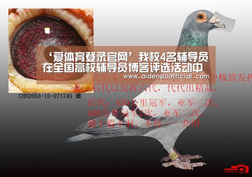‘爱体育登录官网’我校4名辅导员在全国高校辅导员博客评选活动中获奖(图2) 爱体育登录直播